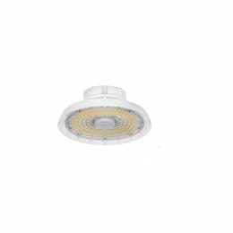 198W LED High Bay, Damp Location BB, 120V-277V, CCT Select, WHT, Clear