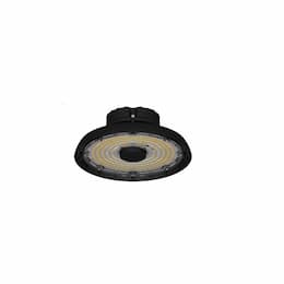 232W LED High Bay, Damp Location BB, 34000 lm, 120V-277V, BLK, Clear