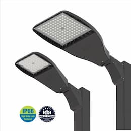 220W LED Flood Light w/ Adjustable Mount, Flood, 347V-480V, 3000K, BRZ