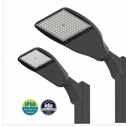 220W LED Flood Light w/ Adj Mount, Flood, 347V-480V, 5000K, Black