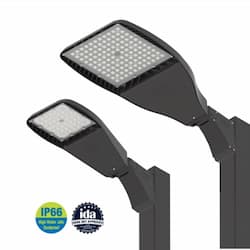 ILP Lighting 220W LED Flood Light w/ Adj Wall, Wide Forward, 347V-480V, 5000K, BRNZ