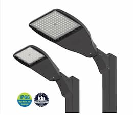 46W LED Flood Light w/ Pole Mount, Flood, 120V-277V, 5000K, Silver