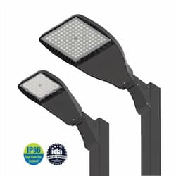 46W LED Flood Light w/Wall Adj Mount, Wide, 120V-277V, 5000K, BRZ