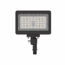 Reversible Visor/Glare Shield for Compact Viewpoint Flood Light