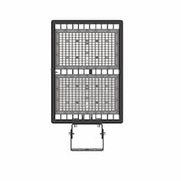 291W LED Flood Light w/ Trunnion Mount, Wide, 120V-277V, 5000K