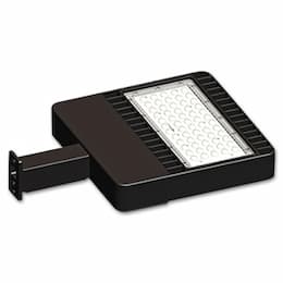 24W Shoe Box LED Fixture, 5000K, 90-295V, Bronze