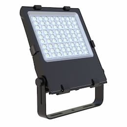 150W LED Tennis Sport Light Fixture, 23250 lm, 5000K