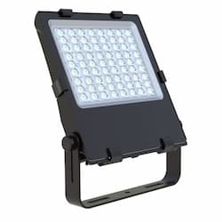 150W LED Tennis Sport Light Fixture, 23000 lm, 5000K, 347V-480V