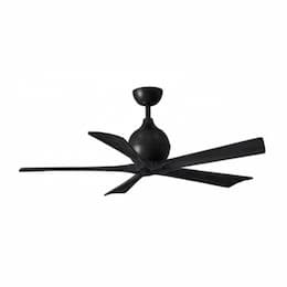 52-in 32W Irene Ceiling Fan, DC, 6-Speed, 5-Black Blades, Black