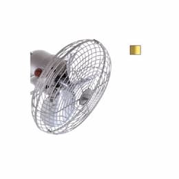 13-in Fan Head Set w/Safety Cage, 3-Metal Blades, Brushed Brass