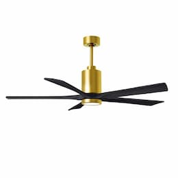 60-in 31W Patricia-5 Ceiling Fan, Matte Black Blades, Brushed Brass