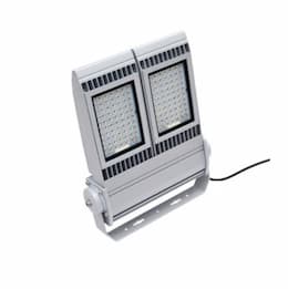 150W LED Module Flood Light, 21000 lm, 120V-277V, 5000K, Silver