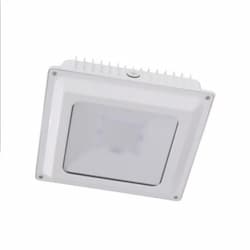 45W LED Canopy Light, 250W MH Retrofit, 5000 lm, 5000K, 100V-277V, White