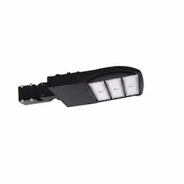 185W LED Shoebox Light Fixture w/ Adjust Slip Fitter, 5000K