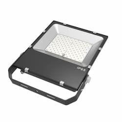 100W LED Flood Light, 130 lm/W, 5000K