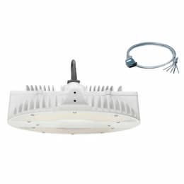 185W LED High Bay w/Plug (120V), 0-10V Dimmable, 600W MH Retrofit, 28501 lm, 5000K