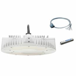 185W LED High Bay w/Battery Backup, Motion & Plug, 0-10V Dim, 600W MH Retrofit, 5000K