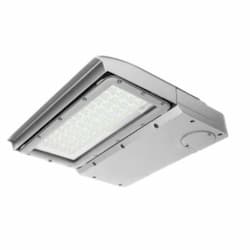 100W LED Area Light, Type III, 0-10V Dimming, 250W MH Retrofit, 12550 lm, 5000K, Silver