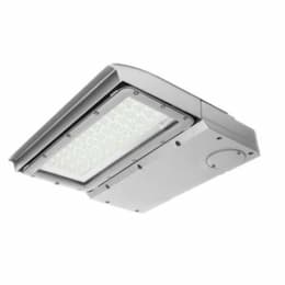 100W LED Area Light, Type III, 0-10V Dimming, 250W MH Retrofit, 11890 lm, 4000K, Silver
