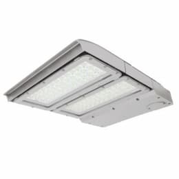 150W LED Area Light, Type III, 0-10V Dimming, 320W PSMH Retrofit, 19450 lm, 4000K, Silver