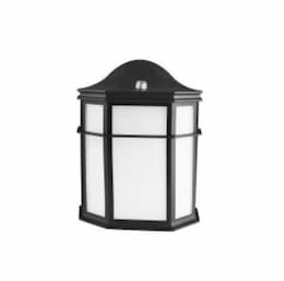 14W LED Outdoor Wall Lantern, 60W Inc Retrofit, 1200 lm, 2700K