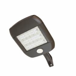 81W LED Shoebox Area Light, Pole Mount, 0-10V Dim, 250W MH Retrofit, 9060 lm, 3000K