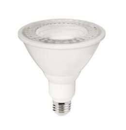 13W LED PAR38 Bulb, Dimmable, Flood, 2700K