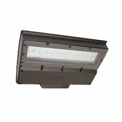 Vandal Shield for 100W & 130W Mpulse Flood, Light Hardware, Silver