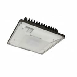 53W LED Canopy Area Light w/ Motion, 0-10V Dim, 250W MH Retrofit, 6510 lm, 5000K