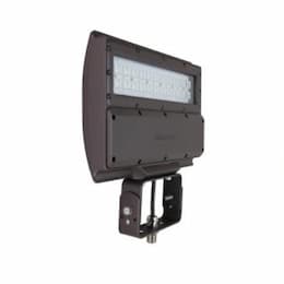 27W LED MPulse Shoebox Area Light w/ Trunnion Swivel, 100W PSMH Retrofit, 3169 lm, 5000K