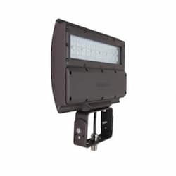 54W LED MPulse Shoebox Area Light, Trunnion Swivel, 150W PSMH Retrofit, 6638 lm, 5000K