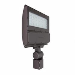 100W LED MPulse Shoebox Area Light w/ Knuckle Mount, 250W PSMH Retrofit, 12683 lm, 4000K