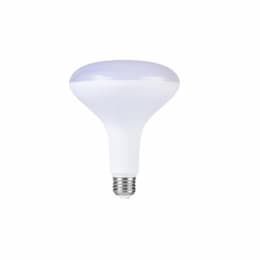 13W Value LED BR40 Bulb, 0-10V Dimmable, 900 lm, 3000K