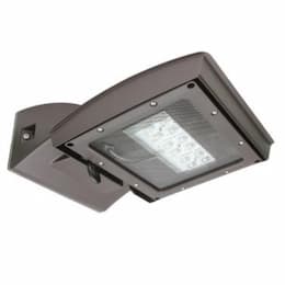 55W LED Shoebox Area Light, Type III, 0-10V Dim, 250W MH Retrofit, 6200 lm, 4000K