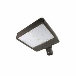 280W LED Medium Area Light w/ Sensor, Trunnion, Type IV, 120V-277V, 4000K, Bronze