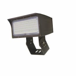 MaxLite 50W LED Flood Light, Knuckle, Dim, 200W MH/HPS Retrofit, 6,900 lm, 5000K