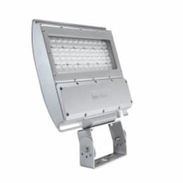 100W LED Shoebox Area Light, 0-10V Dim, 250W PSMH Retrofit, 12683 lm, 5000K, Silver