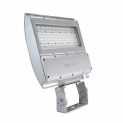 124W LED Shoebox Area Light, Knuckle Mount, 400W PSMH Retrofit, 15034lm, 5000K, Silver
