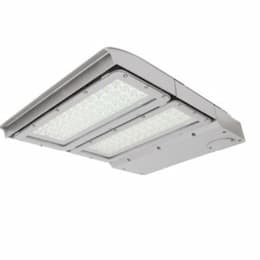 150W LED Area Light, Type IV, 0-10V Dimming, 320W PSMH Retrofit, 19450 lm, 5000K