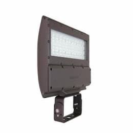 100W LED Shoebox Area Light, Swivel Mount, 0-10V Dim, 250W PSMH Retrofit, 12683lm, 5000K