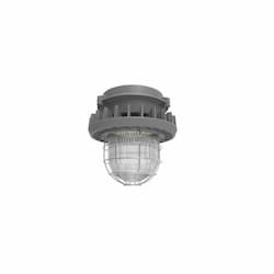 65W Hazard Rated LED High/Low Bay Light, 175W MH Retrofit, 8900 lm, 5000K, Grey