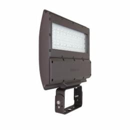 124W LED Shoebox Area Light w/ Swivel Mount, Dimmable, 400W PSMH Retrofit, 15191lm, 4000K