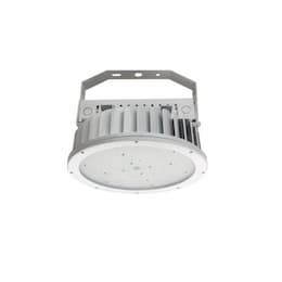 240W LED High Bay Pendant w/ 277V Cord & Plug, 100V-277V, 4000K, Clear