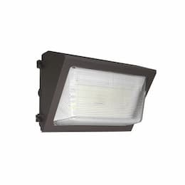 50W Semi Cut-Off LED Wall Pack w/ 0 Deg Backup, Size 2, 250W MH Retrofit, 7065 lm, 4000K