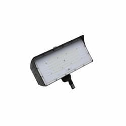 50W LED Medium Flood Light w/ Knuckle Mount, Dim, Narrow, 6900 lm, 5000K, Bronze