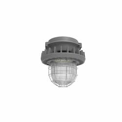 65W Hazard Rated LED Jelly Jar Light, Low Bay, 175W MH Retrofit, 8900 lm, 5000K