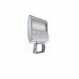 100W LED Flood Light w/ Trunnion, Medium, 12683 lm, 120V-277V, 4000K, Silver