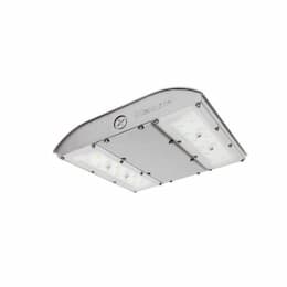 56W LED Canopy Light w/ Backup, Asymmetric, 150W MH Retrofit, Dim, 2459 lm, 5000K, Silver