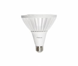 27W LED PAR38 Bulb, Flood, E26, 3000 lm 120V-277V, 3000K