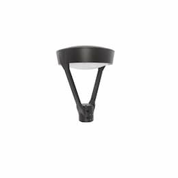 53W LED Post Top Light, Spider Mount, 150W HID Retrofit, 6990 lm, 4000K, Bronze